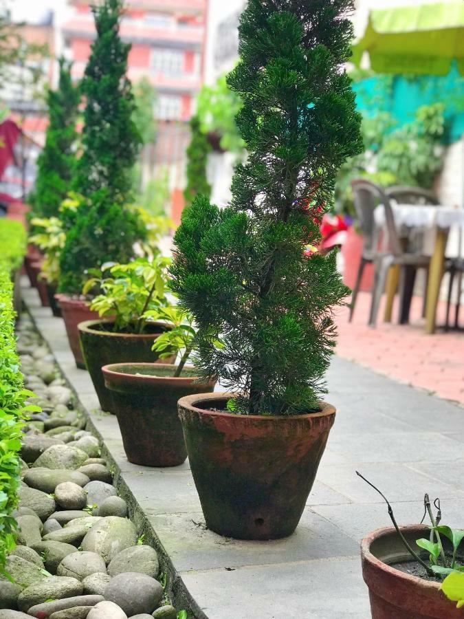 Hotel Tranquil Kathmandu Ngoại thất bức ảnh
